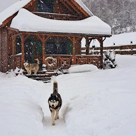 Legowisko Bieszczady Villa Ropienka ภายนอก รูปภาพ