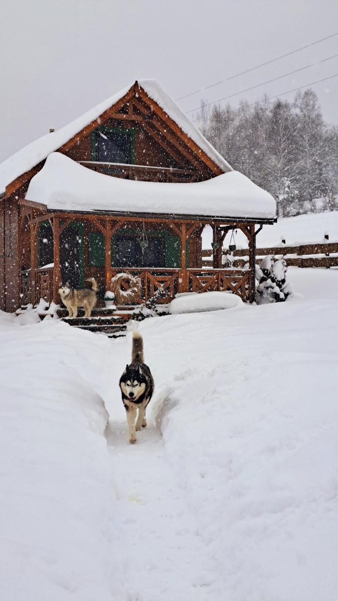 Legowisko Bieszczady Villa Ropienka ภายนอก รูปภาพ