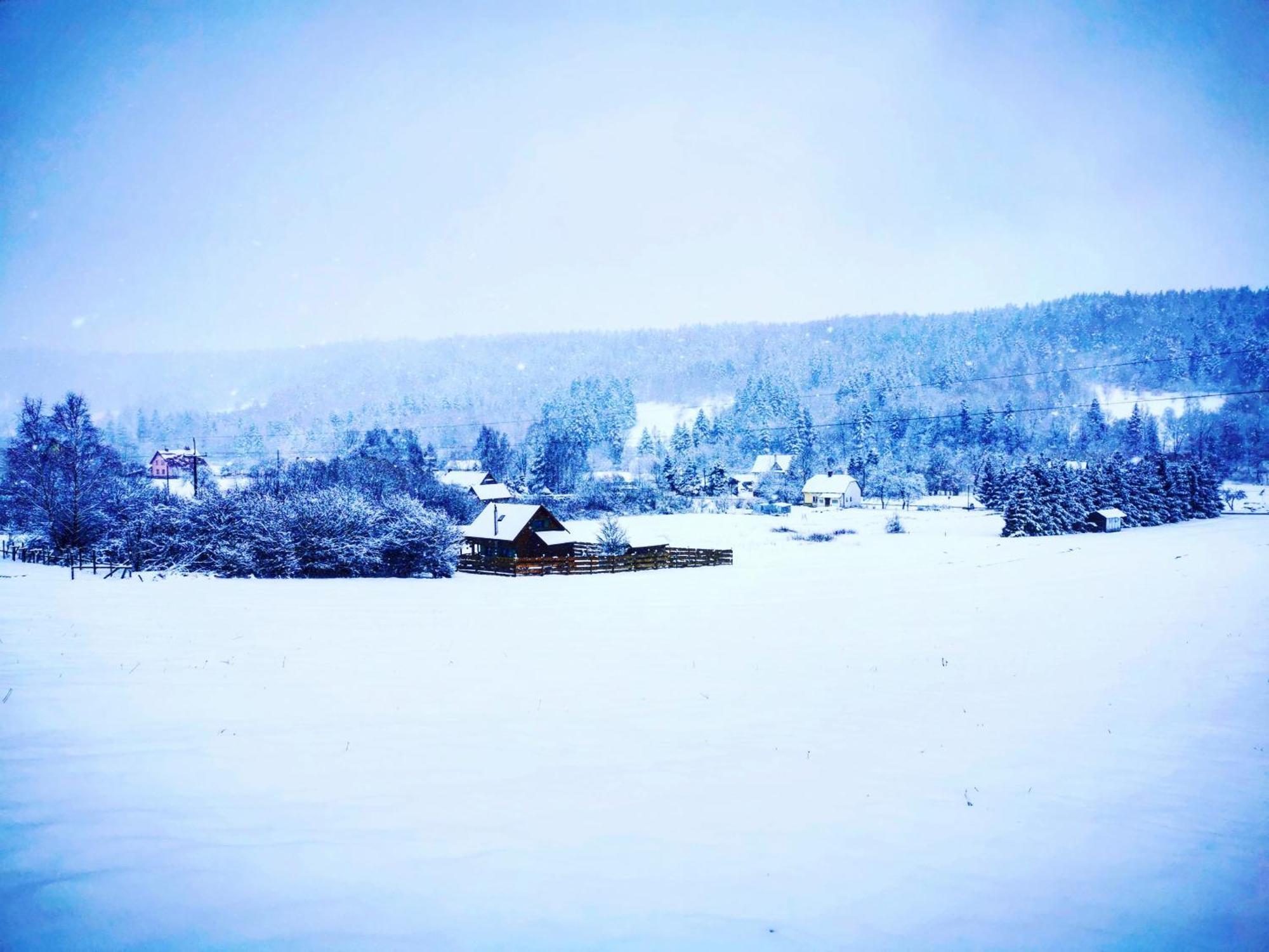 Legowisko Bieszczady Villa Ropienka ภายนอก รูปภาพ