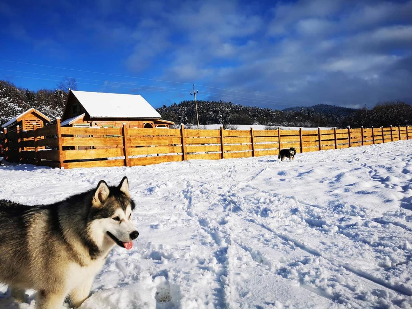 Legowisko Bieszczady Villa Ropienka ภายนอก รูปภาพ