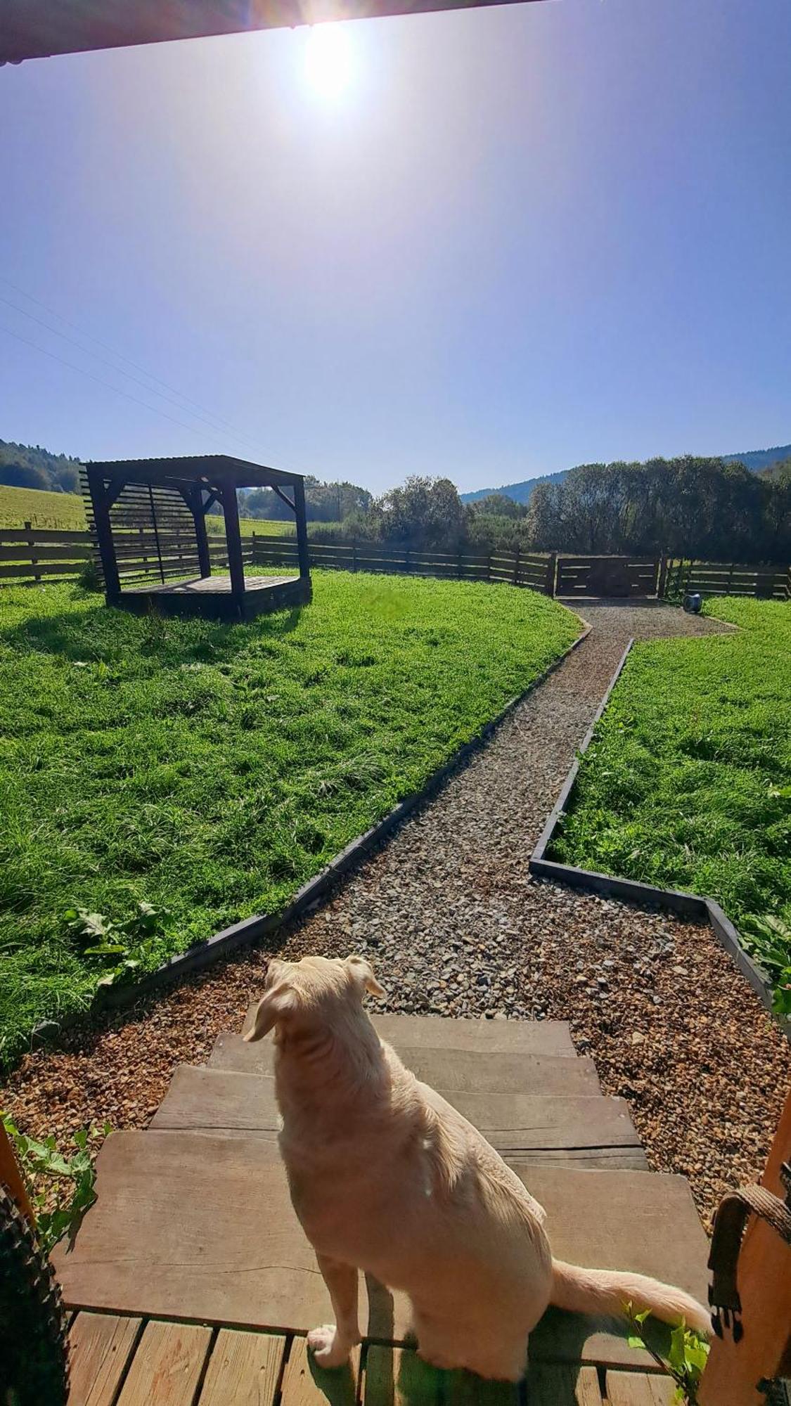 Legowisko Bieszczady Villa Ropienka ภายนอก รูปภาพ