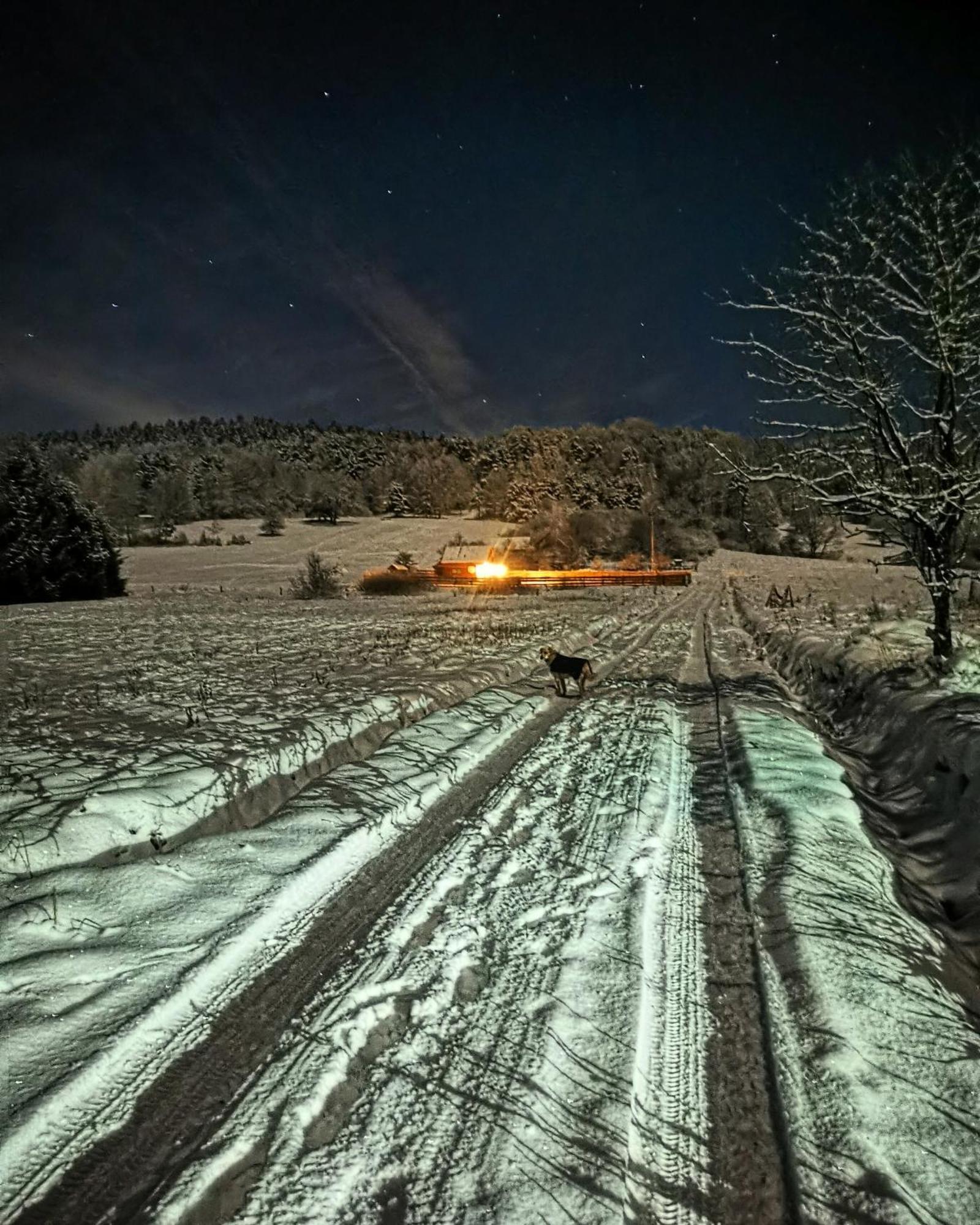 Legowisko Bieszczady Villa Ropienka ภายนอก รูปภาพ