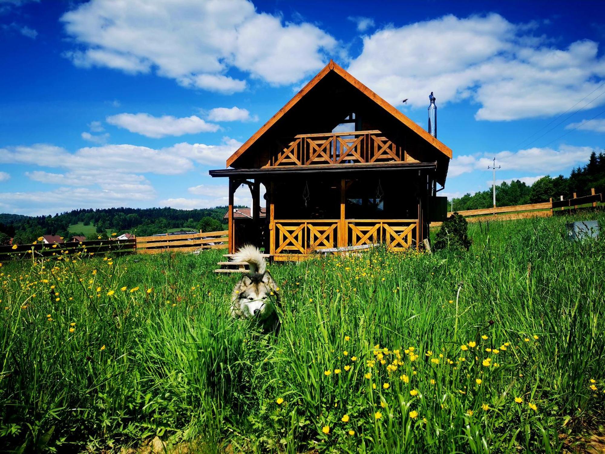 Legowisko Bieszczady Villa Ropienka ภายนอก รูปภาพ